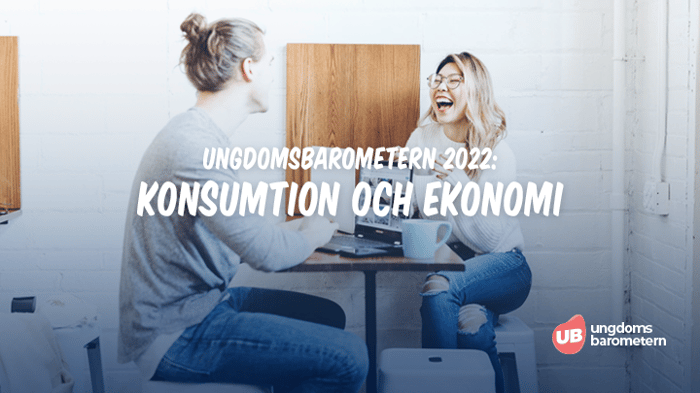 2022 Konsumtion och ekonomi