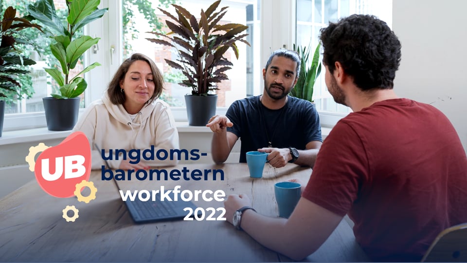 Workforce 2022 - Rapportutdrag